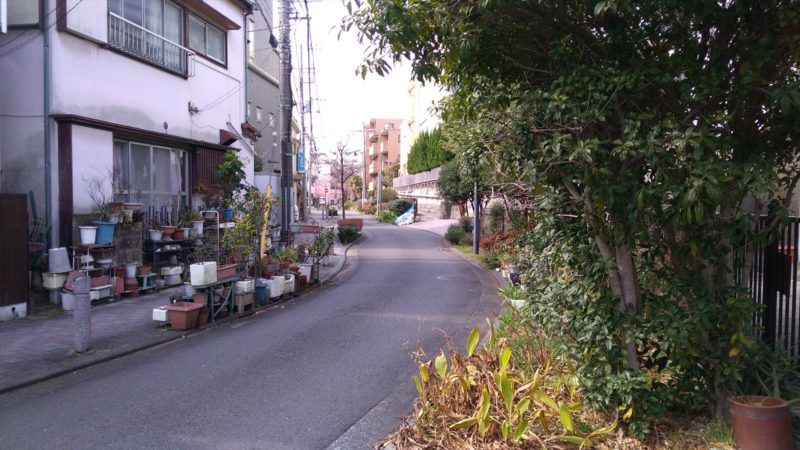 松本コミュニティ道路